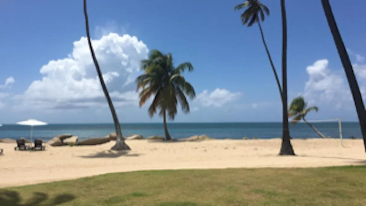 Pr-Paradise,Near Beach-3-Bedroom-2-Bathrm-Apt 1-Parkng,Pool- Wi-Fi Rio Grande Apartment